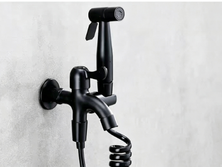 Black Dual-Control Faucet with Spray Gun