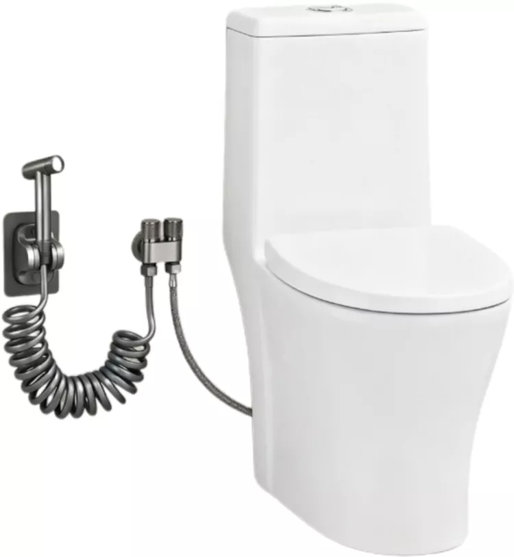 Phab ntsa Mounted Toilet Booster Spray Gun Set